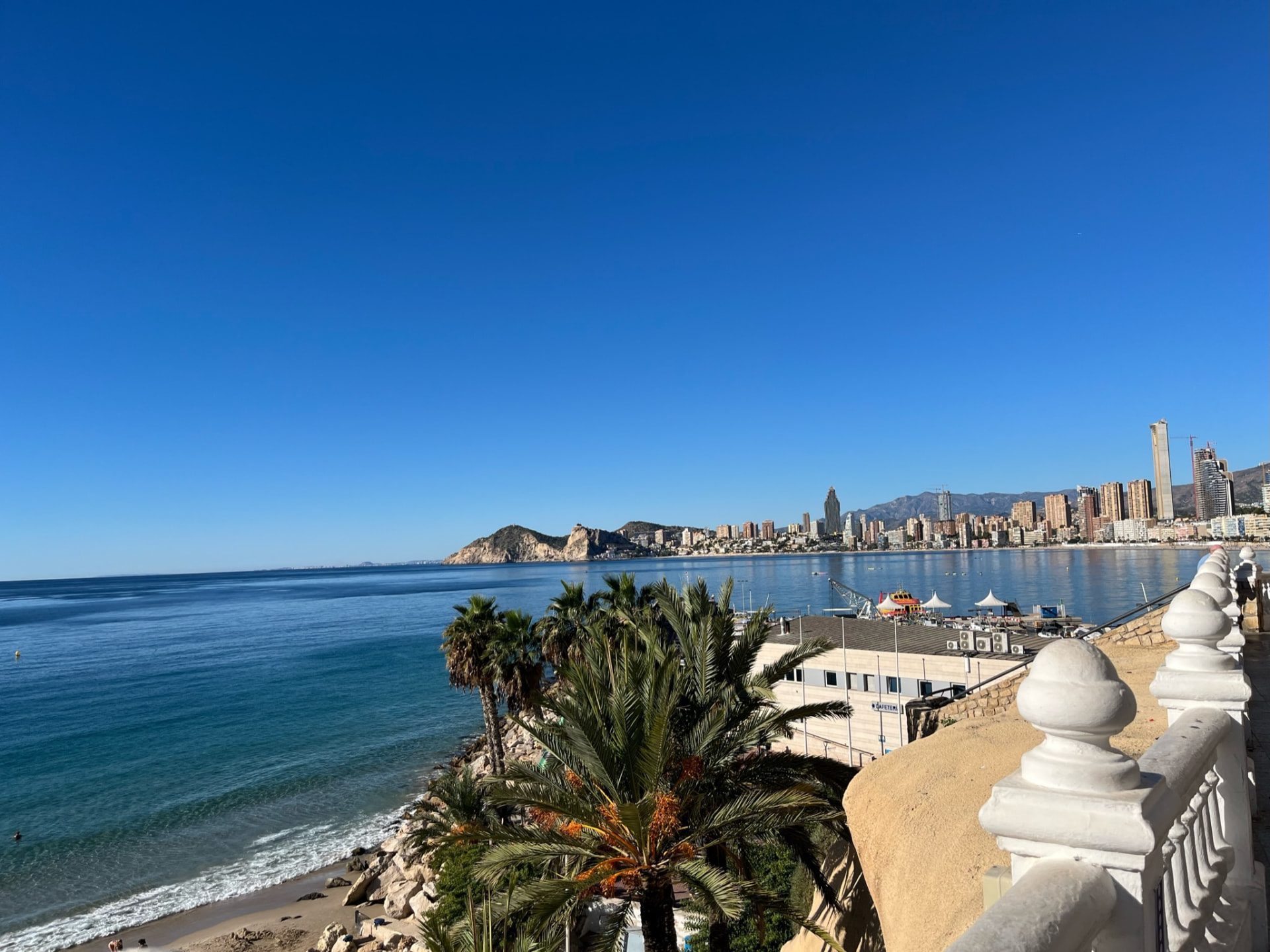 Poniente beach, palm trees and the Benidorm skyline seen from the Balcón del Mediterráneo