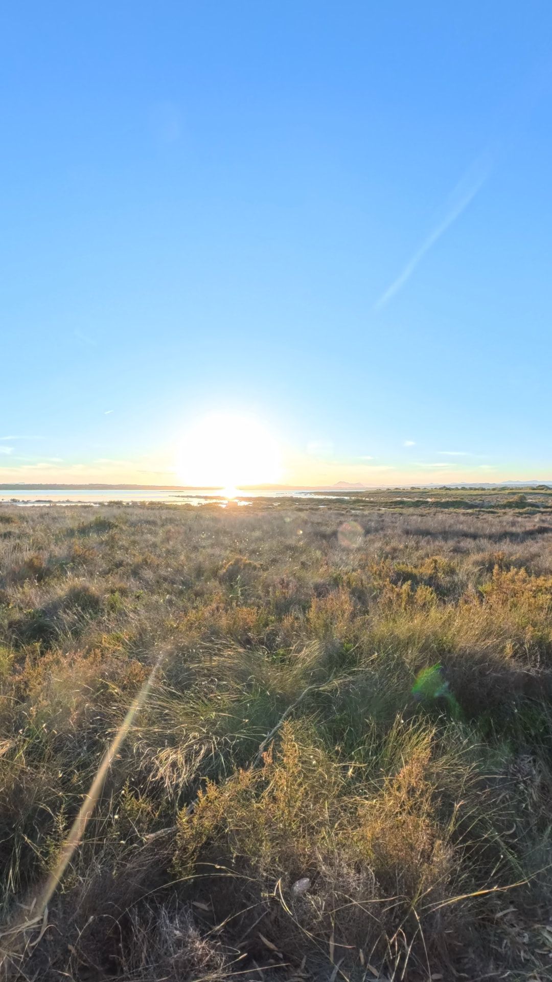 Sunrise over the salt lagoon and scrubland at Torrevieja