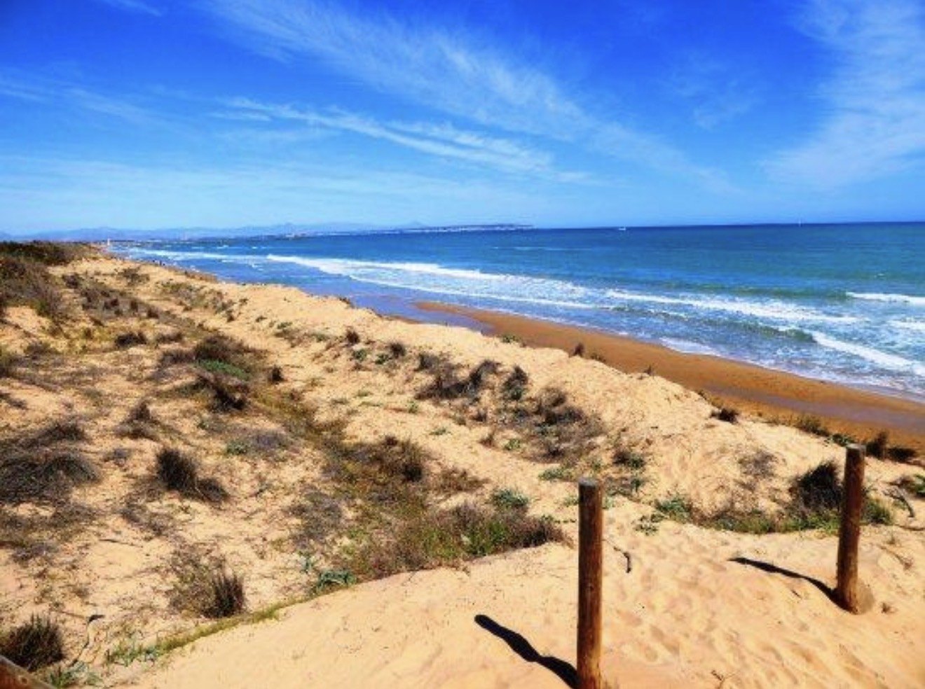Sand dunes and marram grass above the long open beach at Guardamar del Segura