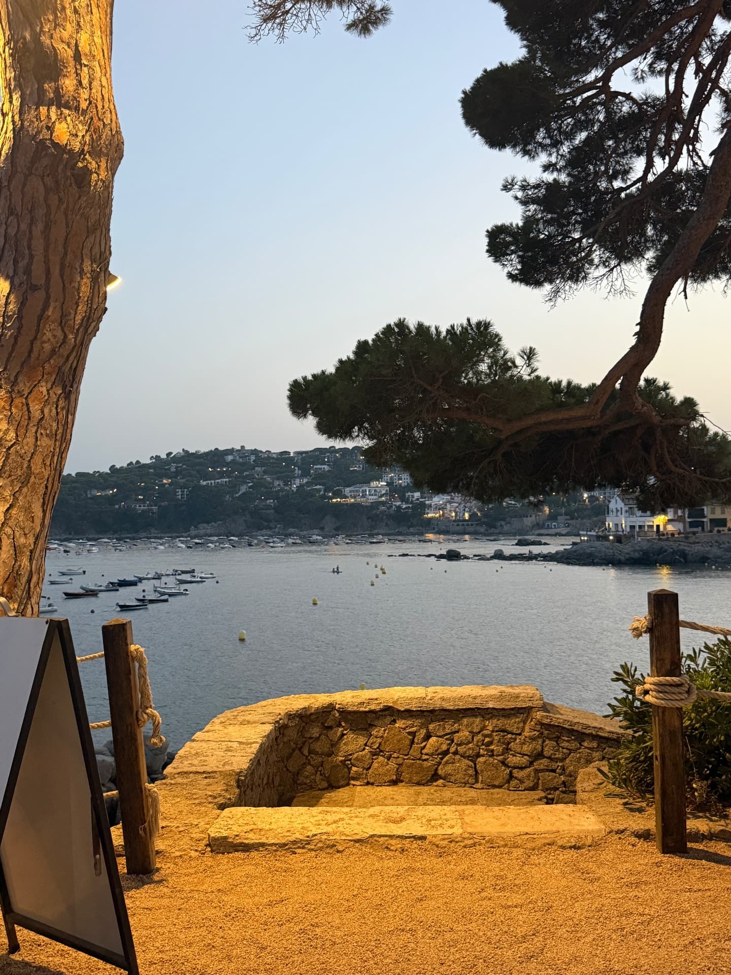 Fishing boats in the cove at Calella de Palafrugell at dusk, framed by pine trees